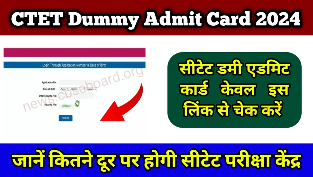 CTET Dummy Admit Card 2024 Download