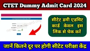 CTET Dummy Admit Card 2024 Download